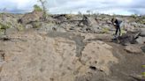 The mysterious Hawaii footprints fossilized in volcanic ash