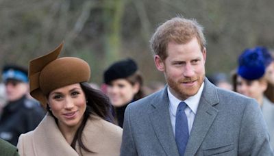 Meghan Markle Believes Prince Harry Being a 'Controversial Royal' Helps Their American Rebrand