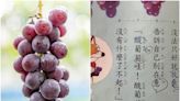 葡「萄」讀音不唸「桃」家長傻了 網狂舉例嘆：不知怎麼教小孩