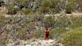 Spanish rescuers find remains thought to be of missing Briton Jay Slater
