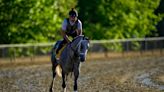 Seize the Grey wins 149th Preakness Stakes, NBC reports