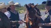 Horsin' around in Coos County: Mounted Sheriff's Posse hosts scholarship ride and raffle