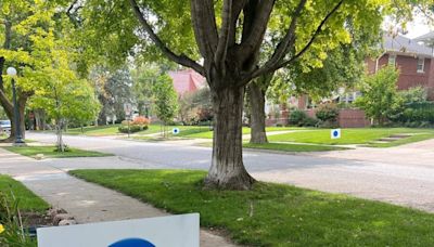 This blue dot is taking over Nebraska. It might be the best political logo we’ve seen this election