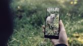 Google has quietly removed most of its 3D animals and other models from Search