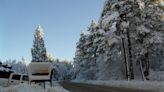 Laguna Mountain, a tan solo 1 hora de San Ysidro, amanece lleno de nieve