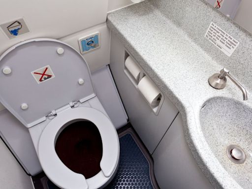 Before You Set Foot Inside Another Airplane Bathroom... Read This