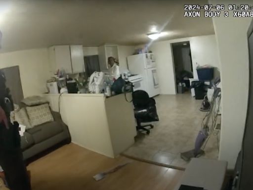 Bodycam video released in case of Sangamon County deputy shooting Black woman who called 911