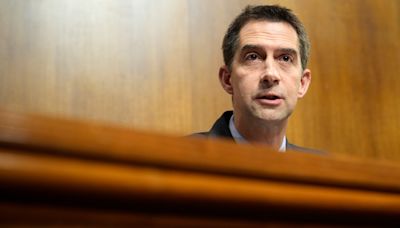 Next up on Trump's evolving list of potential vice-presidential nominees: Tom Cotton