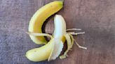 別再把香蕉白絲丟掉！營養師揭「1好處更勝果肉」超營養 還能判斷熟度