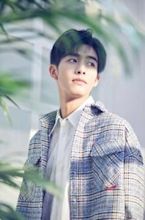 Song Weilong (actor)