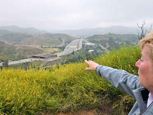 A Los Angeles, un énorme pont pour animaux conçu pour sauver les pumas