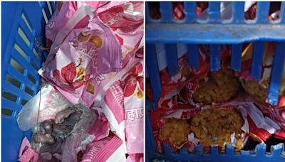 Siddhivinayak Temple Trust Launches Probe After Viral Video Shows Mice on Prasad Packets - News18