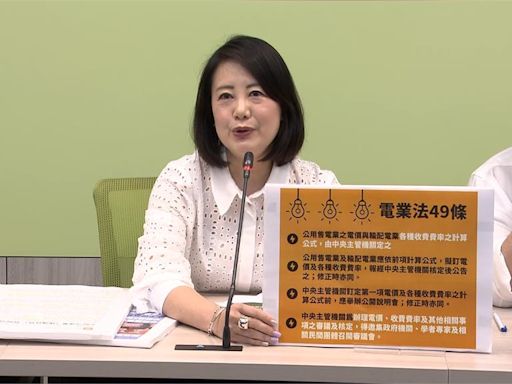 解套電價凍漲! 藍將提電業法49條修正案 綠捍衛行政權