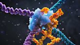 'Bridge editing' could be even better at altering DNA than CRISPR