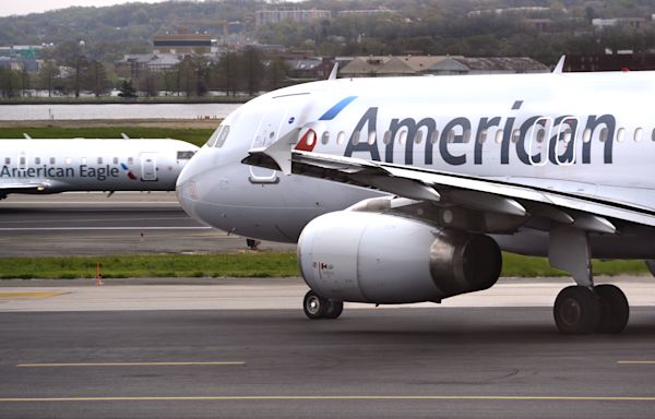 American Airlines flight diverted after hitting bird