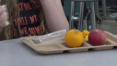Effort to get more local food in North Country school lunches