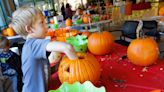 New England Wildlife Center's 'Carve-O-Rama' is underway, pumpkin sale Sunday