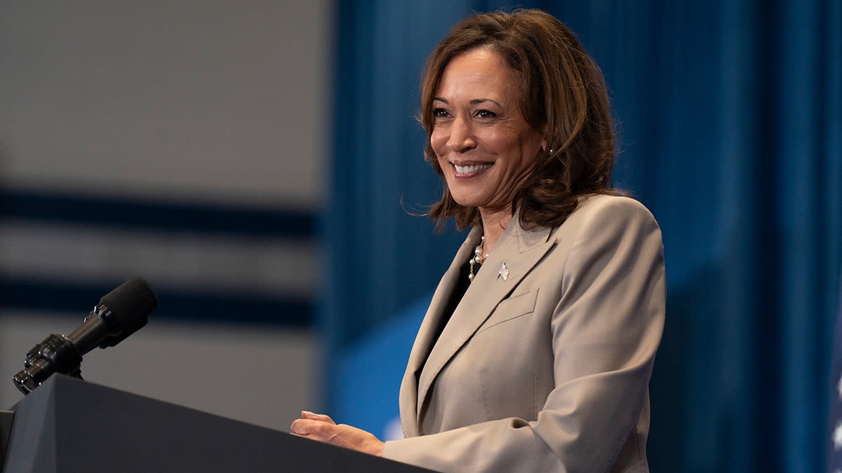 CNN commentator blasts Kamala Harris for working to ‘erase all evidence’ she was border czar