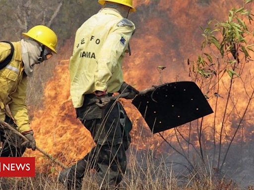 Como queimadas em terras indígenas aumentaram 76% e deixaram crianças e anciãos 'sufocados'