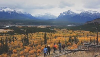 Saturday is Parks Day throughout Alberta