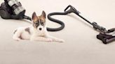 Best Vacuums for Pet Hair