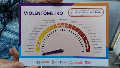 Red cantonal de atención a la violencia intrafamiliar, en la que participan 27 entidades, diseñará una guía de servicios para las víctimas