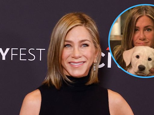 Jennifer Aniston 'Plans Her Life' Around Her Dogs and Fostering