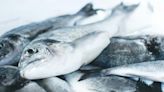 Estudio revela cómo impacta en la salud consumir aceite de pescado