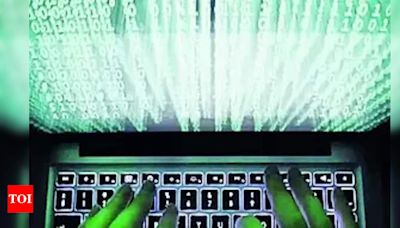 Data security experts urge govt to set up nodal body to confirm breaches | Hyderabad News - Times of India