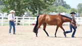 Crawford County Fair contest gives horse exhibitors a chance to show off their versatility