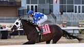 Hoist the Gold Returns Home for Churchill Downs Stakes