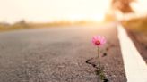 Faithfully Finding the Path to Positivity—Here Are 25 Bible Verses About Hope