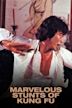 Marvelous Stunts of Kung Fu