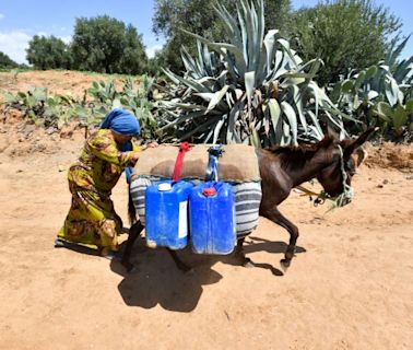 Tunisie: dans l'arrière-pays, un village en quête d'eau