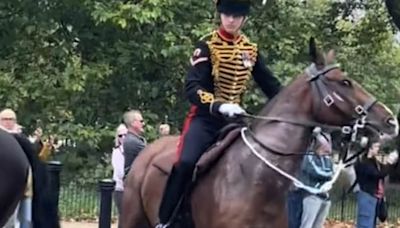 Household Cavalry soldier controls panicked horse near Hyde Park