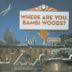 Where Are You, Bambi Woods?