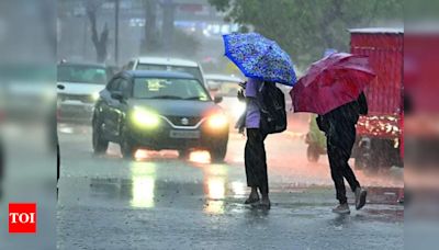 Sultry weather continues in Bhopal despite rain | Bhopal News - Times of India