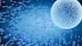 Un nuevo gel anticonceptivo masculino mostró buenos resultados en un ensayo clínico