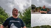 Town invaded by 3,000 seagulls and locals have no idea what to do about it