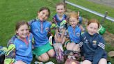 Pictures of the Marshalstown GAA Cúl Camp