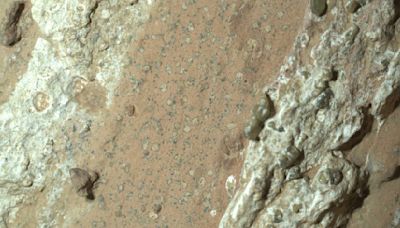 NASA halla en Marte roca que creen puede contener vida microscópica antigua