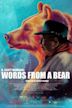 Words from a Bear