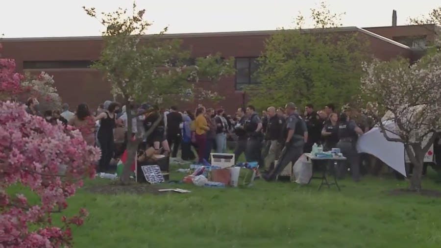 Pro-Palestine protestors demonstrate at UB, Buffalo State