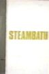 Steambath (TV series)