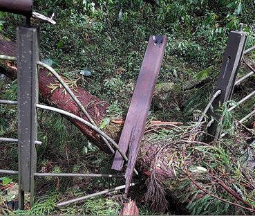 阿里山風景區零星災損 太平雲梯、觀音瀑布暫停開放至7/31