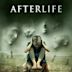 Afterlife