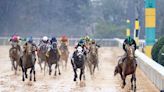 ABR: Which Preakness Runners Should Relish a Wet Track?