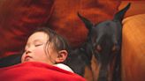 Doberman's Sweet Love for Human Sister Is Joy To Behold
