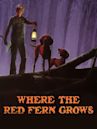 Where the Red Fern Grows (1974 film)