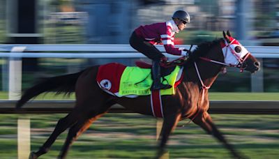 Don't forget the Kentucky Derby undercards. Ed DeRosa's picks for May 4 at Churchill Downs